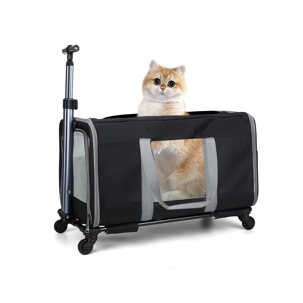 Cat Transport Carrier With Wheels For Two Cats Safety Belts