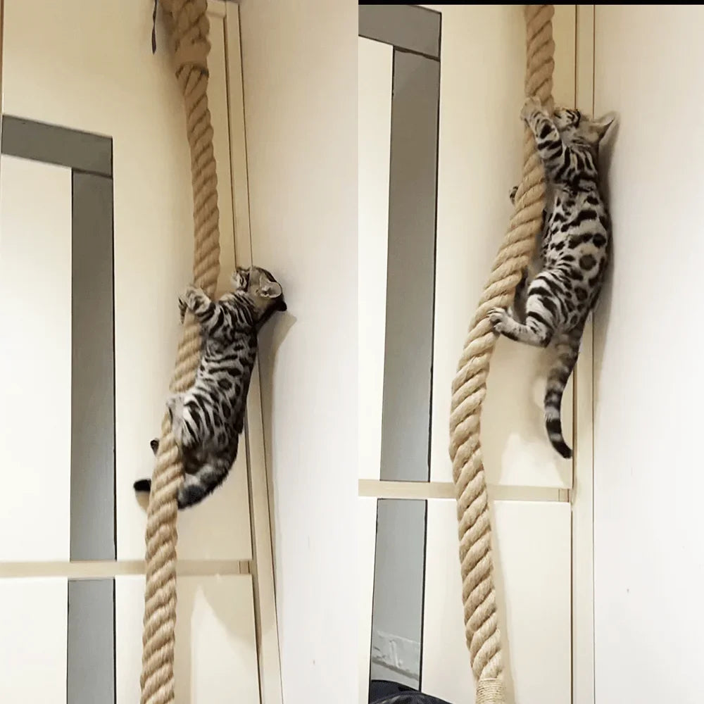 Indoor Cat Climbing Rope Ceiling Attachment Cat Tree Tower