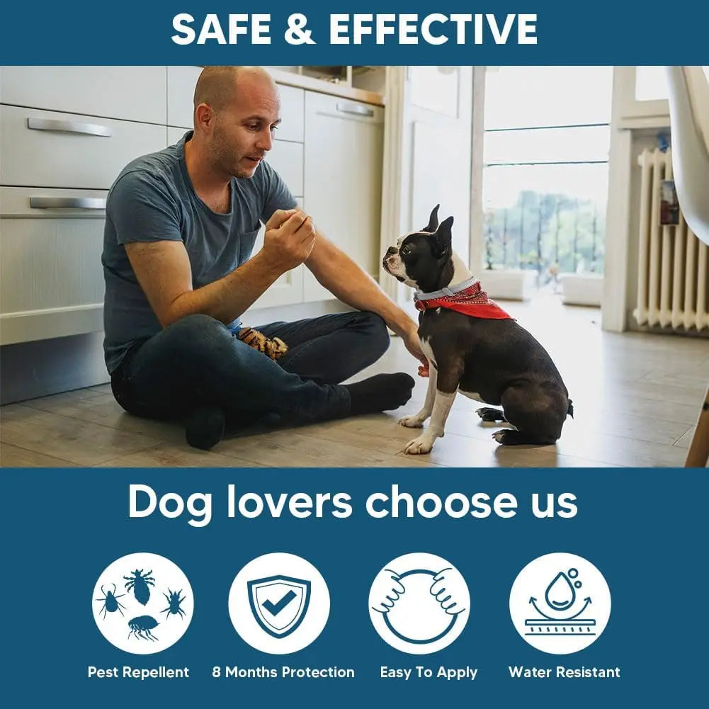 Effective Flea Tick Collar for Small Dogs Lasts 8 Months