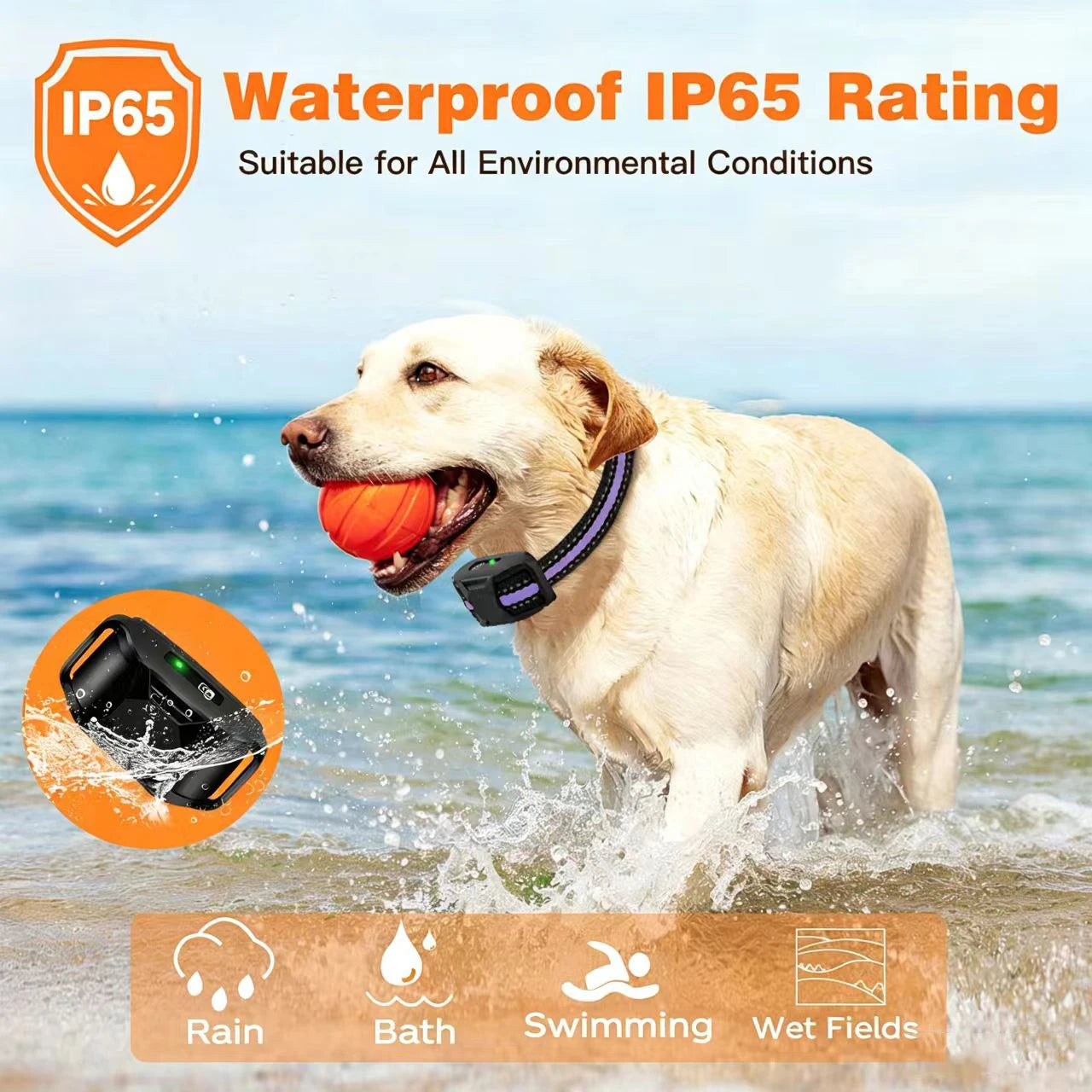 WXRPET 3300ft Electric Dog Training Collar With Remote Control