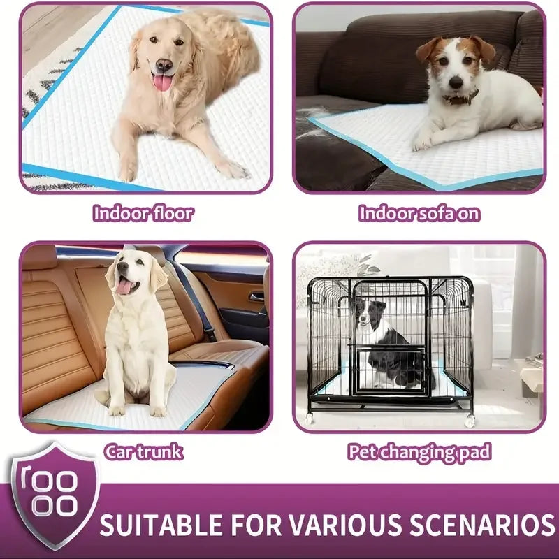 NONEDog Litter Premium Disposable Dog Pee Pads With Superior Absorption