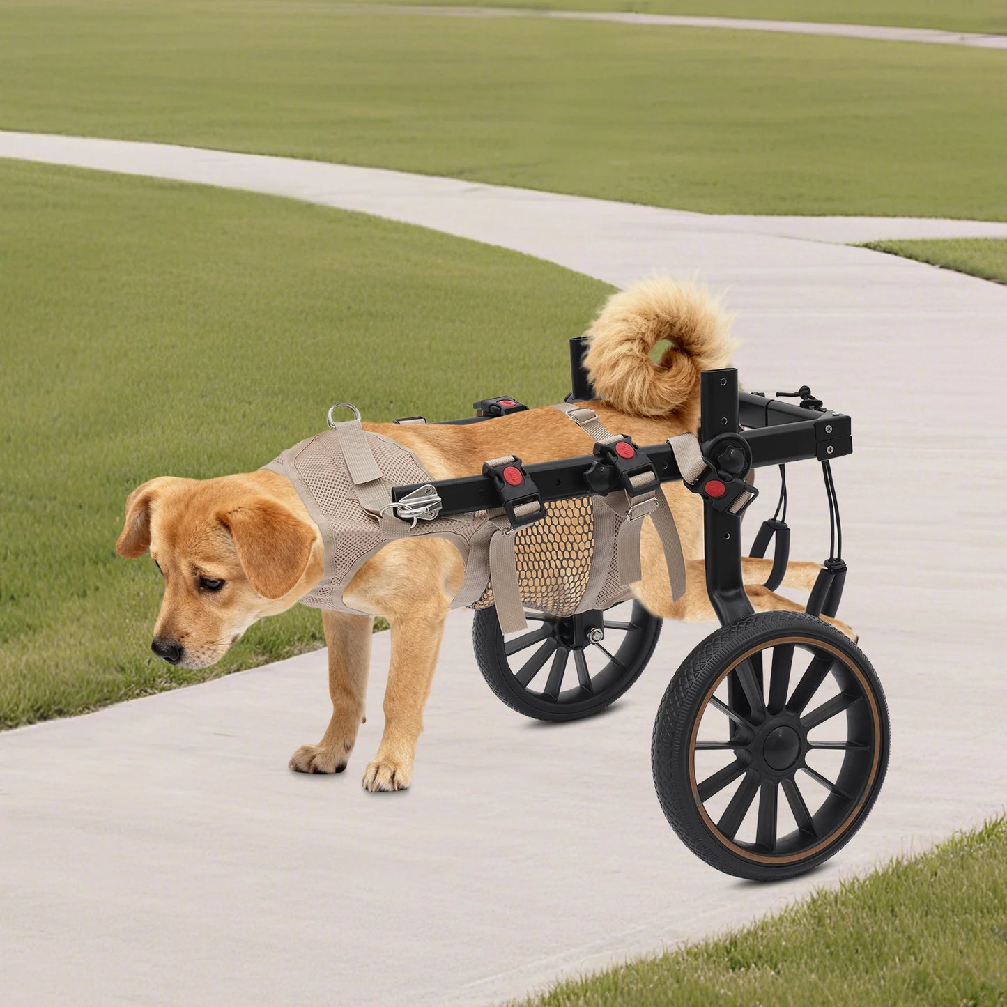 Pet Walking Aid Dog Wheelchair for Back Legs 65kg Load