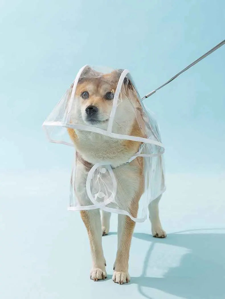 Transparent Dog Raincoat With Hat Waterproof Pet Raincoat