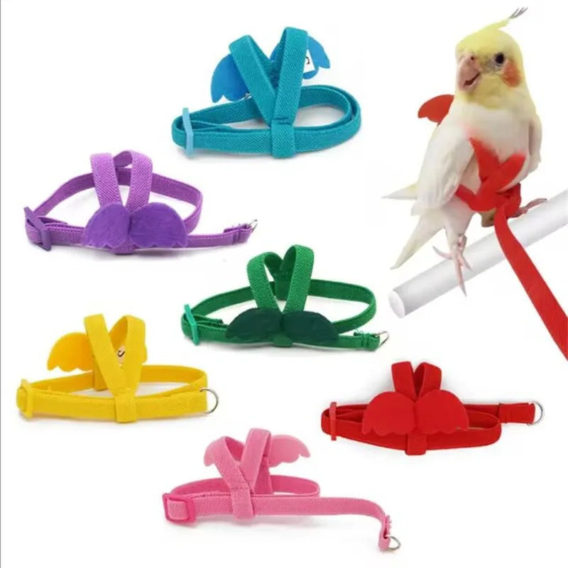 NONECN Parrot Harness and Leash Set Anti Bite Training Birds