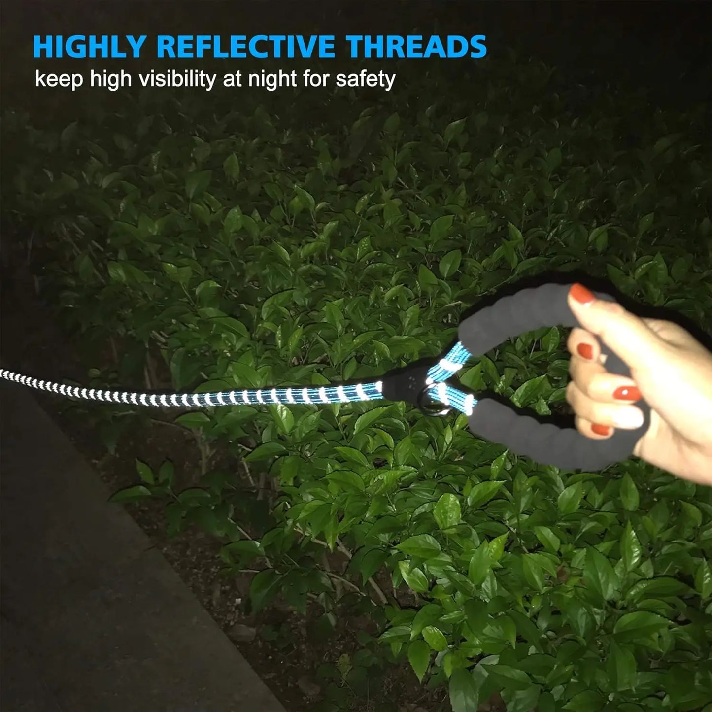 Reflective Adjustable Dog Collar With Soft Padded Neoprene