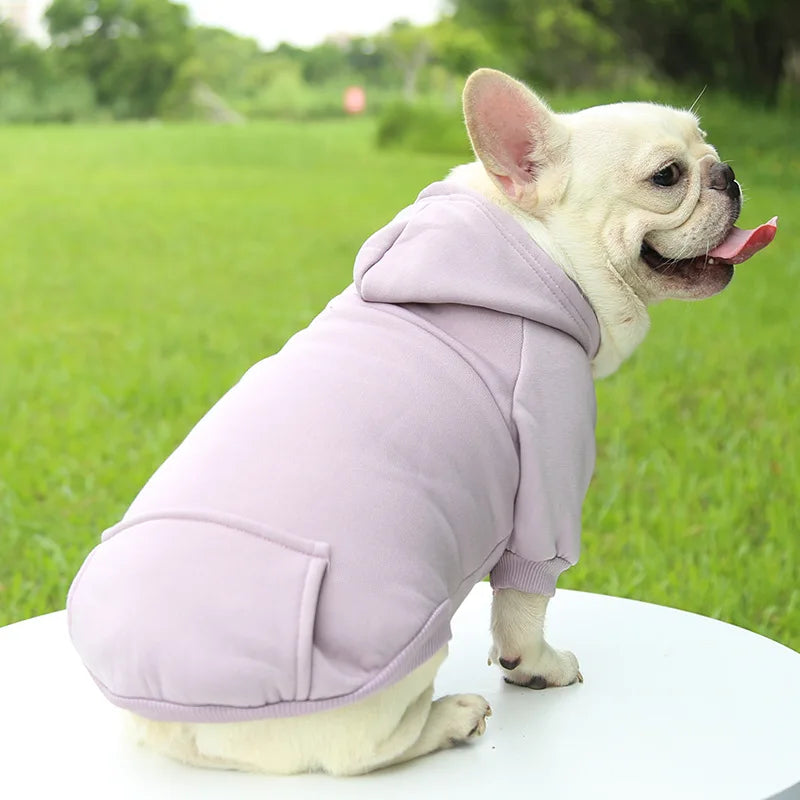 Winter Hooded Sweatshirt for Dogs and Cats
