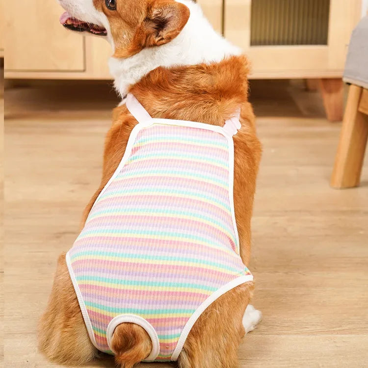 Adjustable French Bulldog Pet Shoulder Strap Physiological Pants Dog Underwear