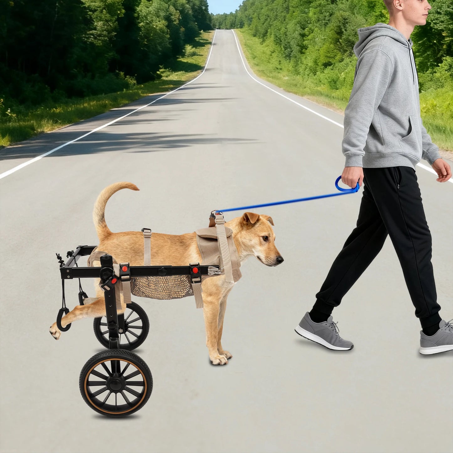 Pet Walking Aid Dog Wheelchair for Back Legs 65kg Load