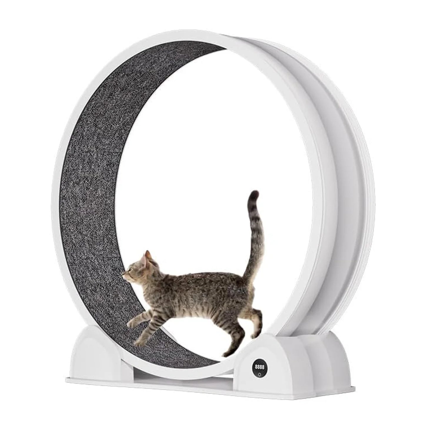 HiMISS Cat Exercise Wheel Treadmill For Indoor Running With Smart Pedometer