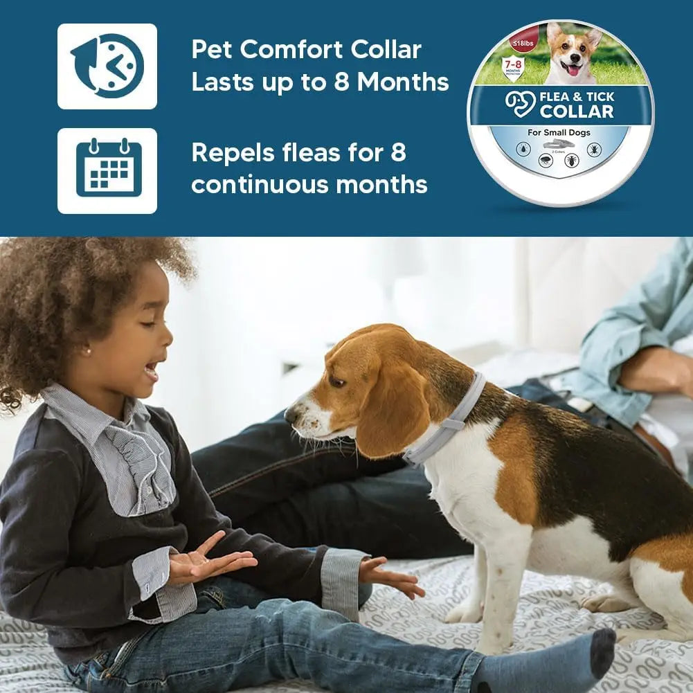 Effective Flea Tick Collar for Small Dogs Lasts 8 Months
