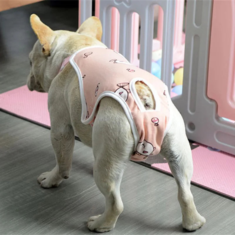 Adjustable French Bulldog Pet Shoulder Strap Physiological Pants Dog Underwear