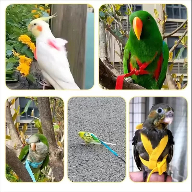 NONECN Parrot Harness and Leash Set Anti Bite Training Birds