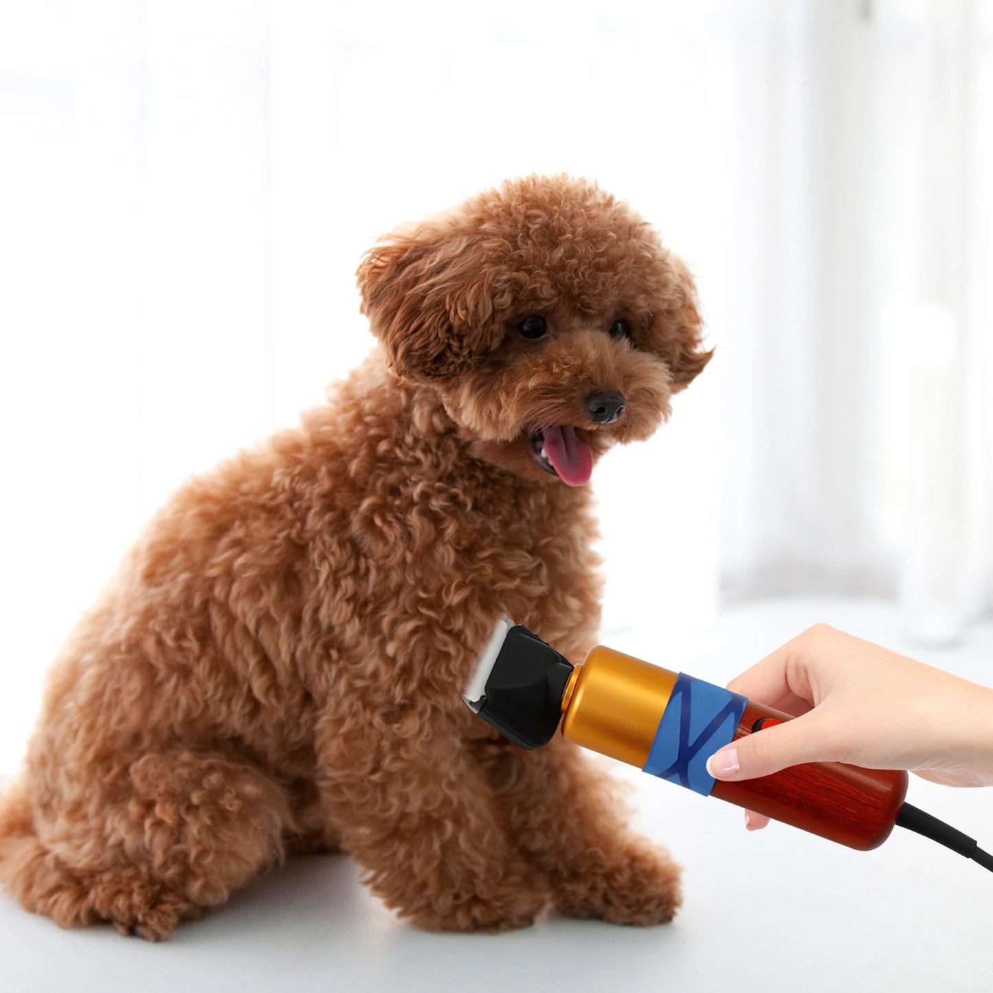 Professional Electric Pet Hair Clipper Low Noise With Variable Speed