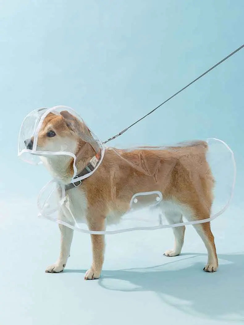 Transparent Dog Raincoat With Hat Waterproof Pet Raincoat