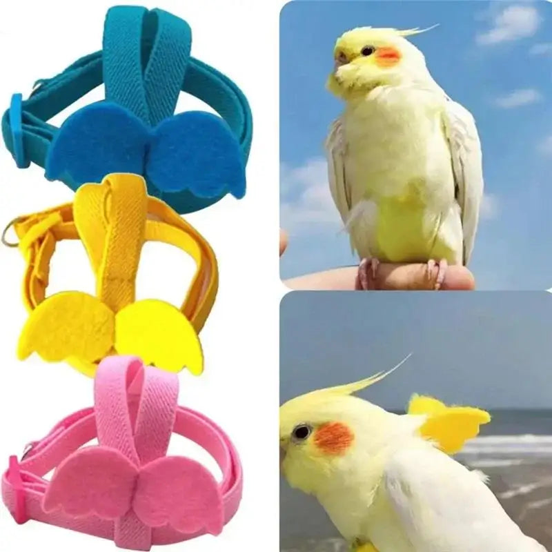 NONECN Parrot Harness and Leash Set Anti Bite Training Birds