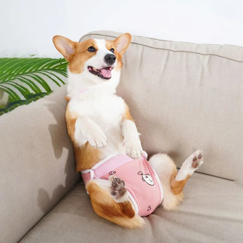 Adjustable French Bulldog Pet Shoulder Strap Physiological Pants Dog Underwear
