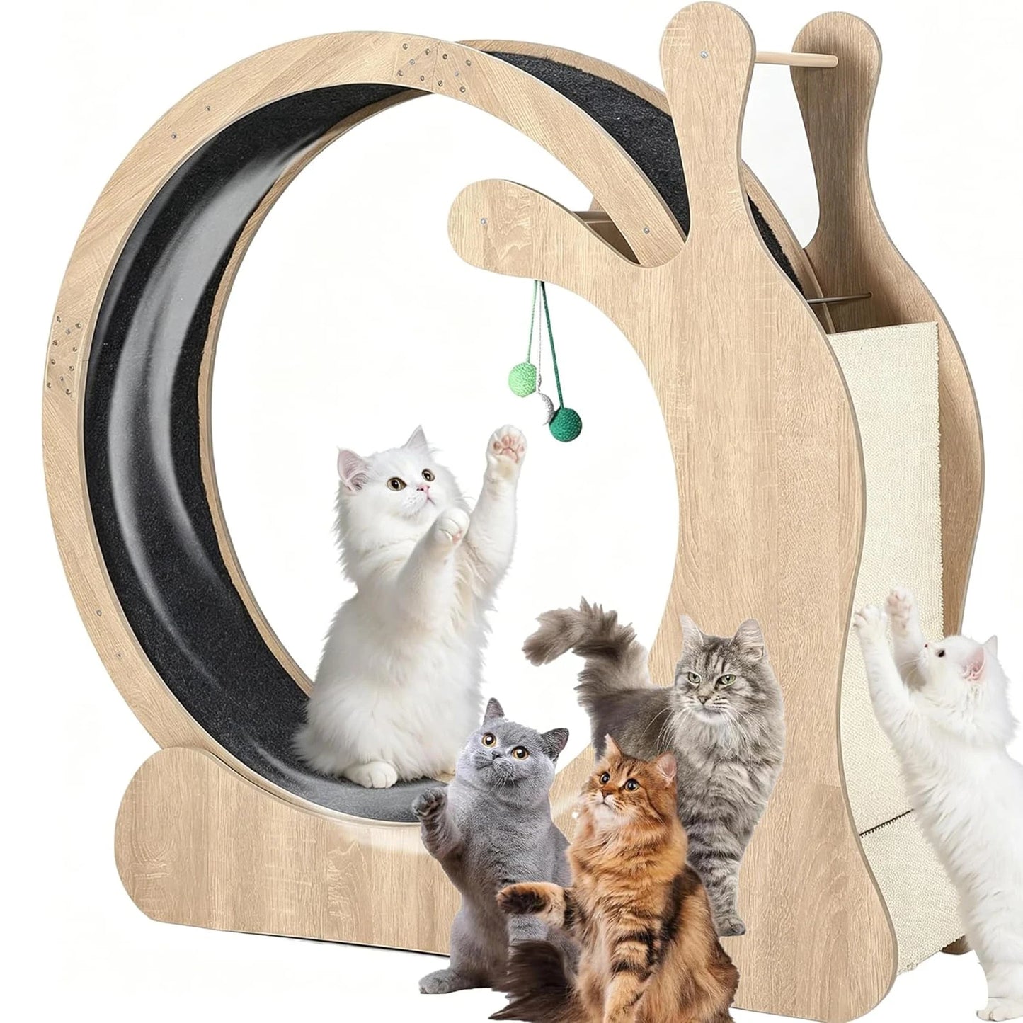 HiMISS Cat Exercise Wheel Treadmill For Indoor Fitness