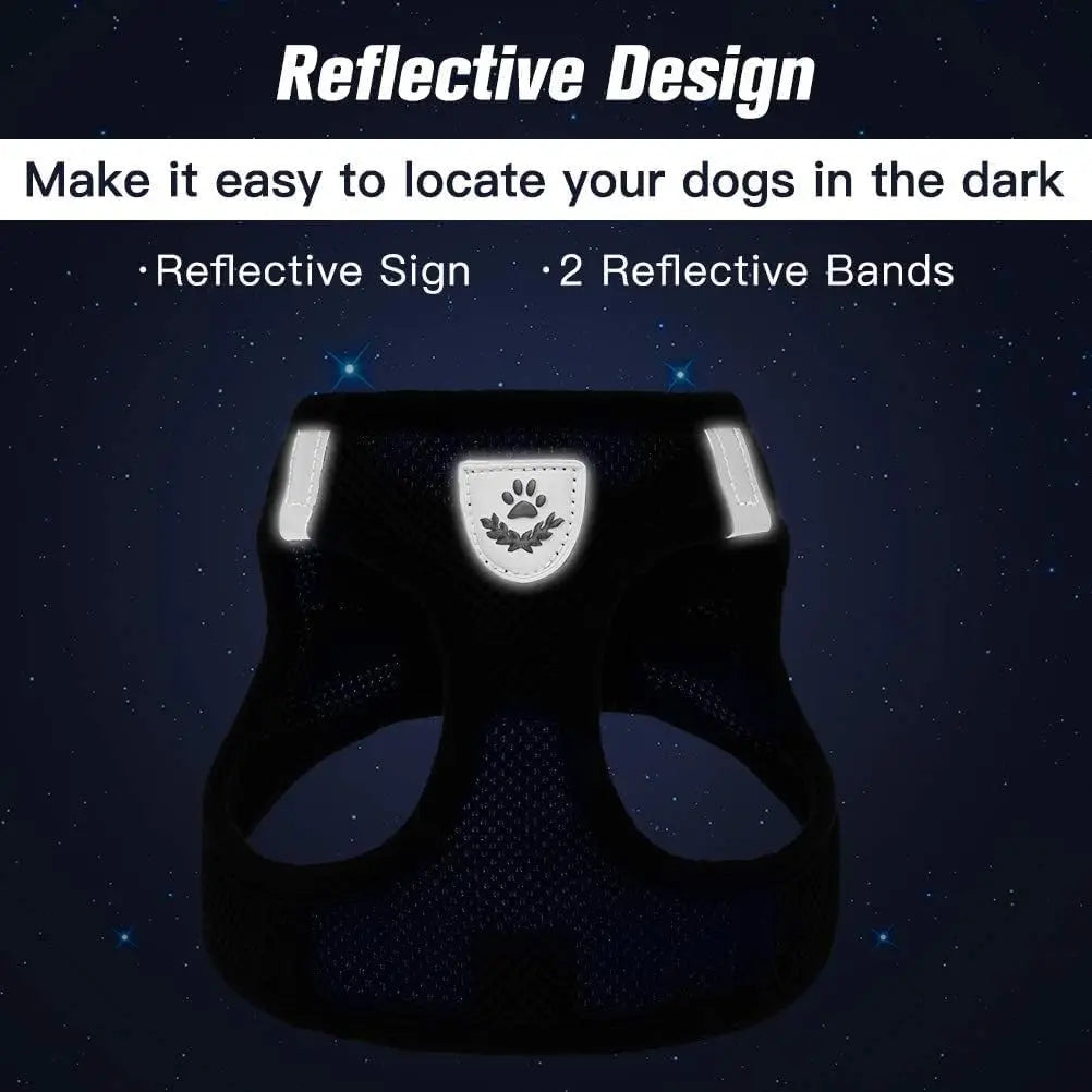 Soft Mesh Dog Harness And Leash Set For Small Dogs Reflective Vest With Handle