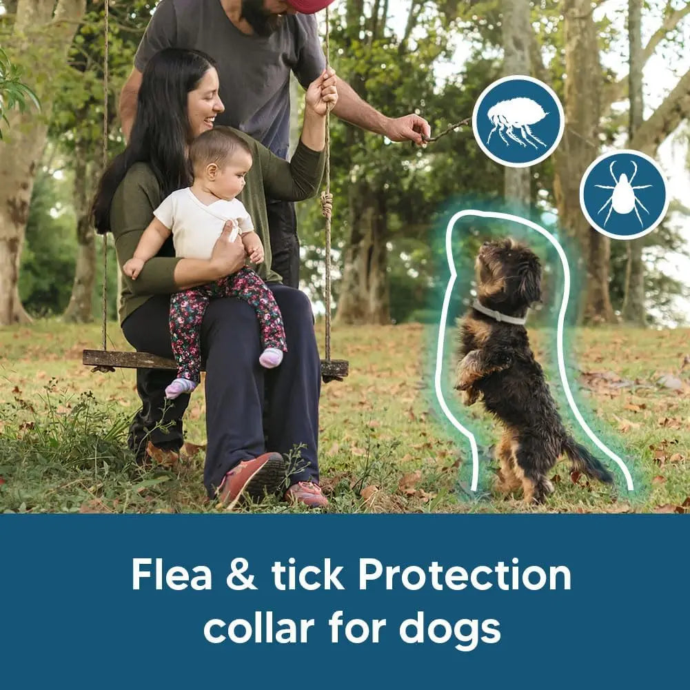 Effective Flea Tick Collar for Small Dogs Lasts 8 Months