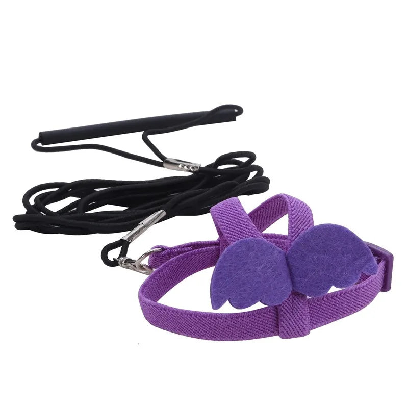 NONECN Parrot Harness and Leash Set Anti Bite Training Birds