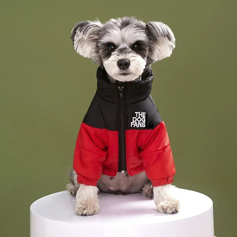 Trendy Embroidered Dog Coat For Autumn And Winter Wear