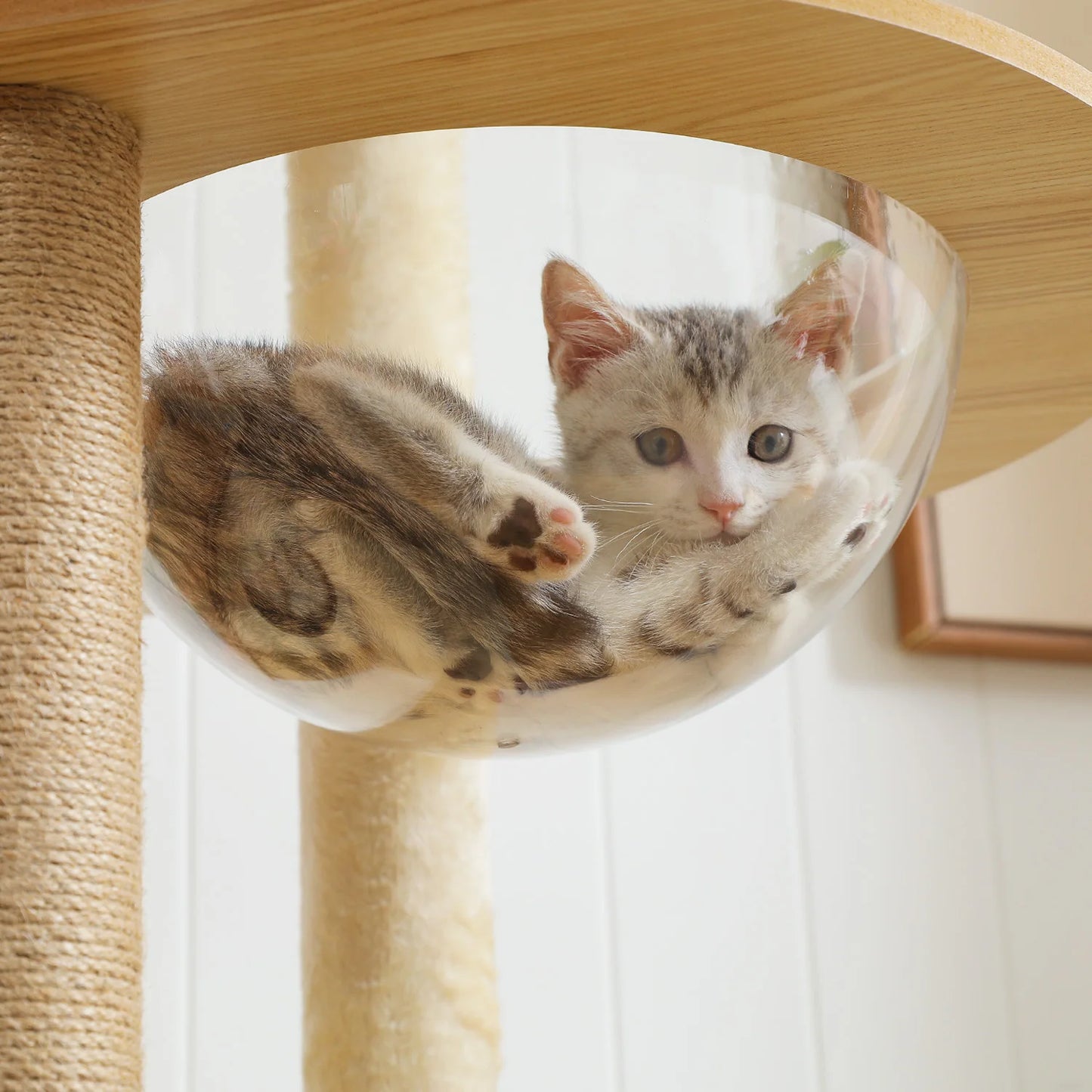 PAWZ Ro Multi Level Cat Tree Indoor Wood Tower With Scratching Posts And Cat Toys