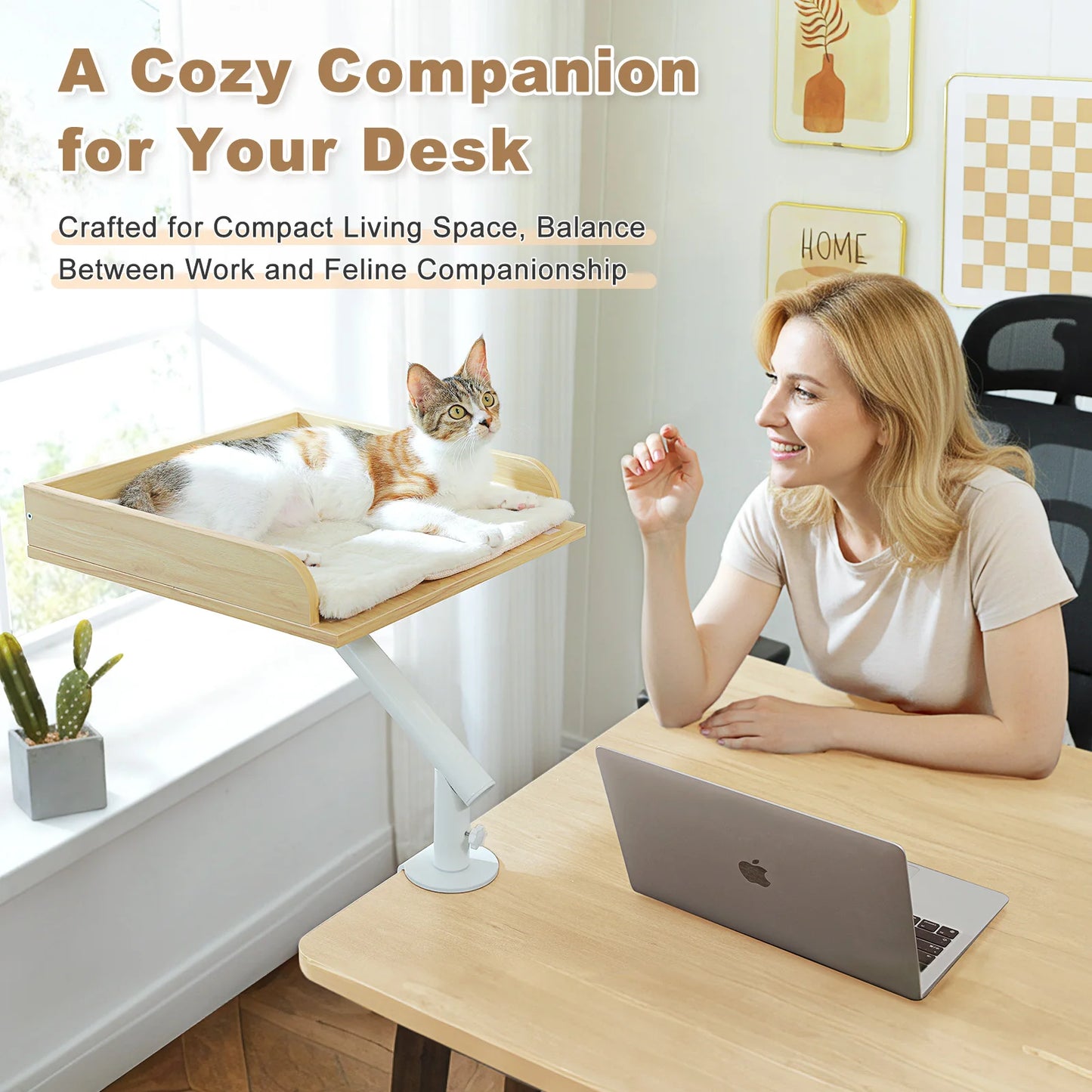 PAWZ Road Cat Desk Bed With 360 Rotatable Stand Hammock