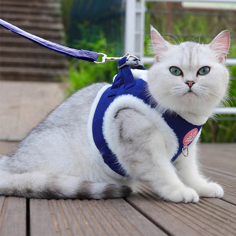 Autumn Winter Warm Chihuahua Harness With Fur And Leash Set