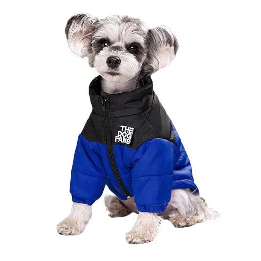 Trendy Embroidered Dog Coat For Autumn And Winter Wear