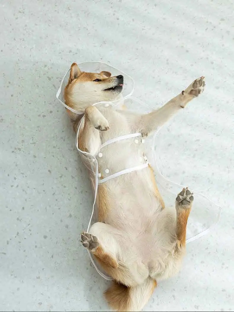 Transparent Dog Raincoat With Hat Waterproof Pet Raincoat
