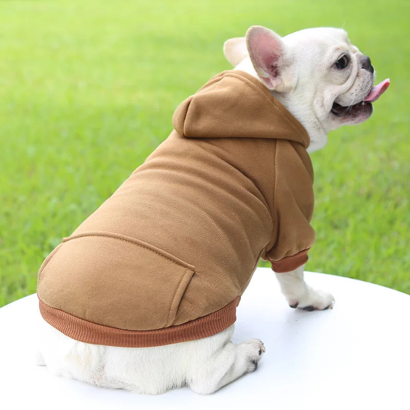 Winter Hooded Sweatshirt for Dogs and Cats
