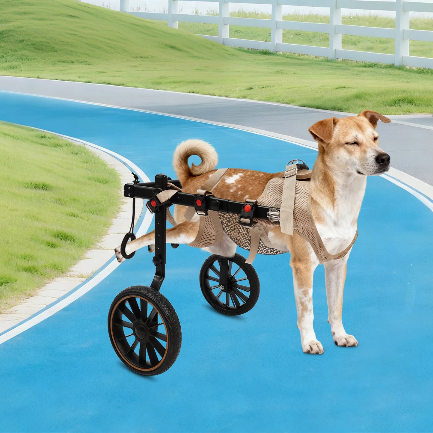 Pet Walking Aid Dog Wheelchair for Back Legs 65kg Load