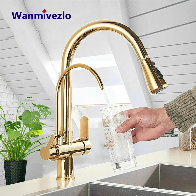 Wanmivezlo Purify Water Deck Mounted Dual Handle Faucet Kitchen