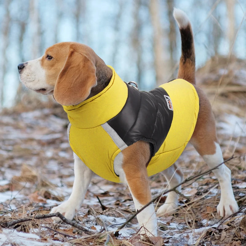 Padded Winter Dog Vest Jacket Waterproof Zipper Coat