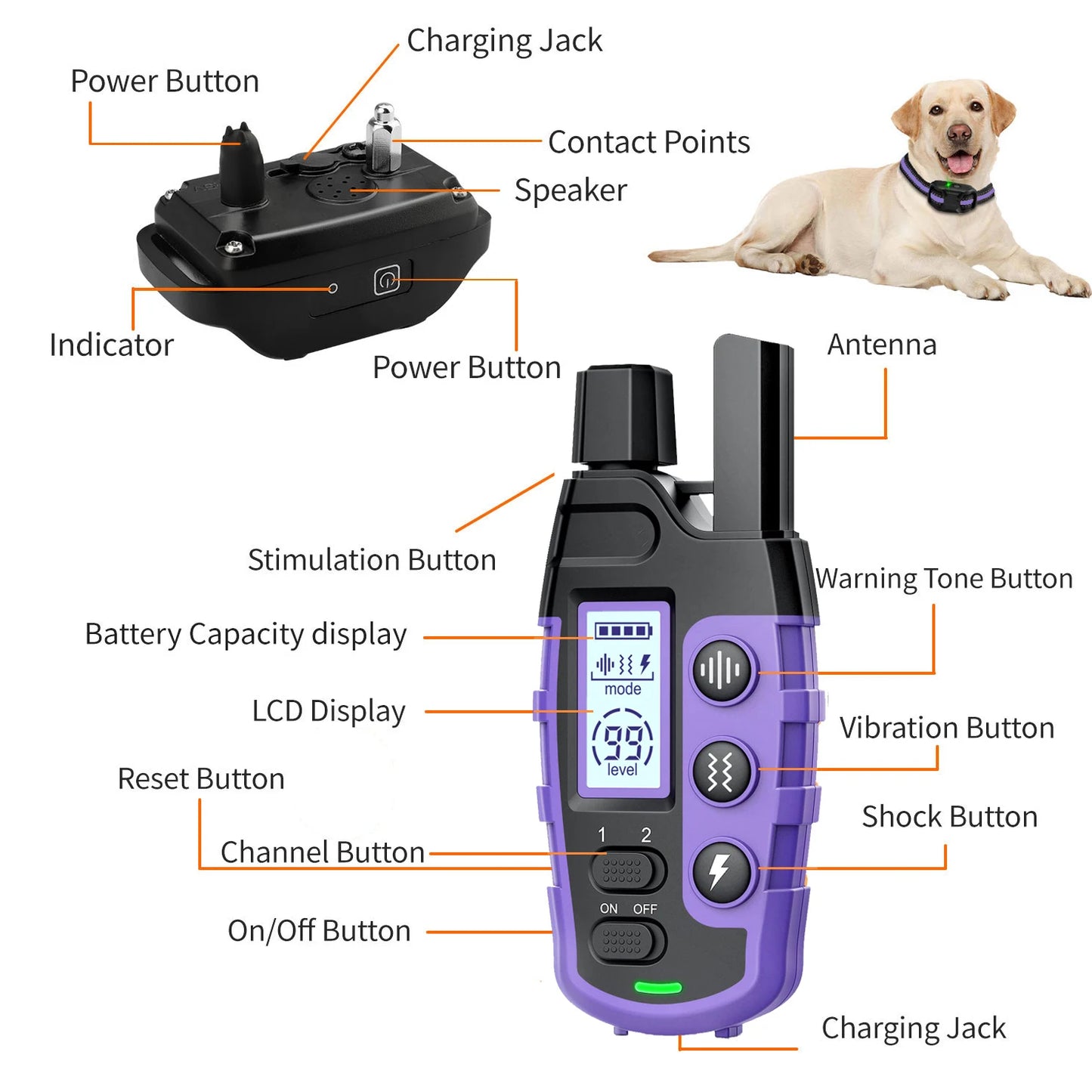 WXRPET 3300ft Electric Dog Training Collar With Remote Control