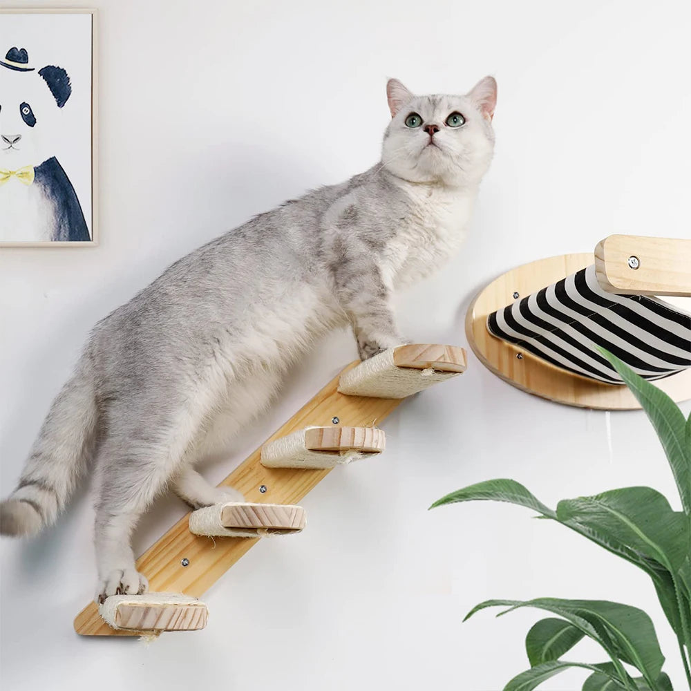 PETRAVEL Cat Hammock and Wall Mounted Scratching Posts Set
