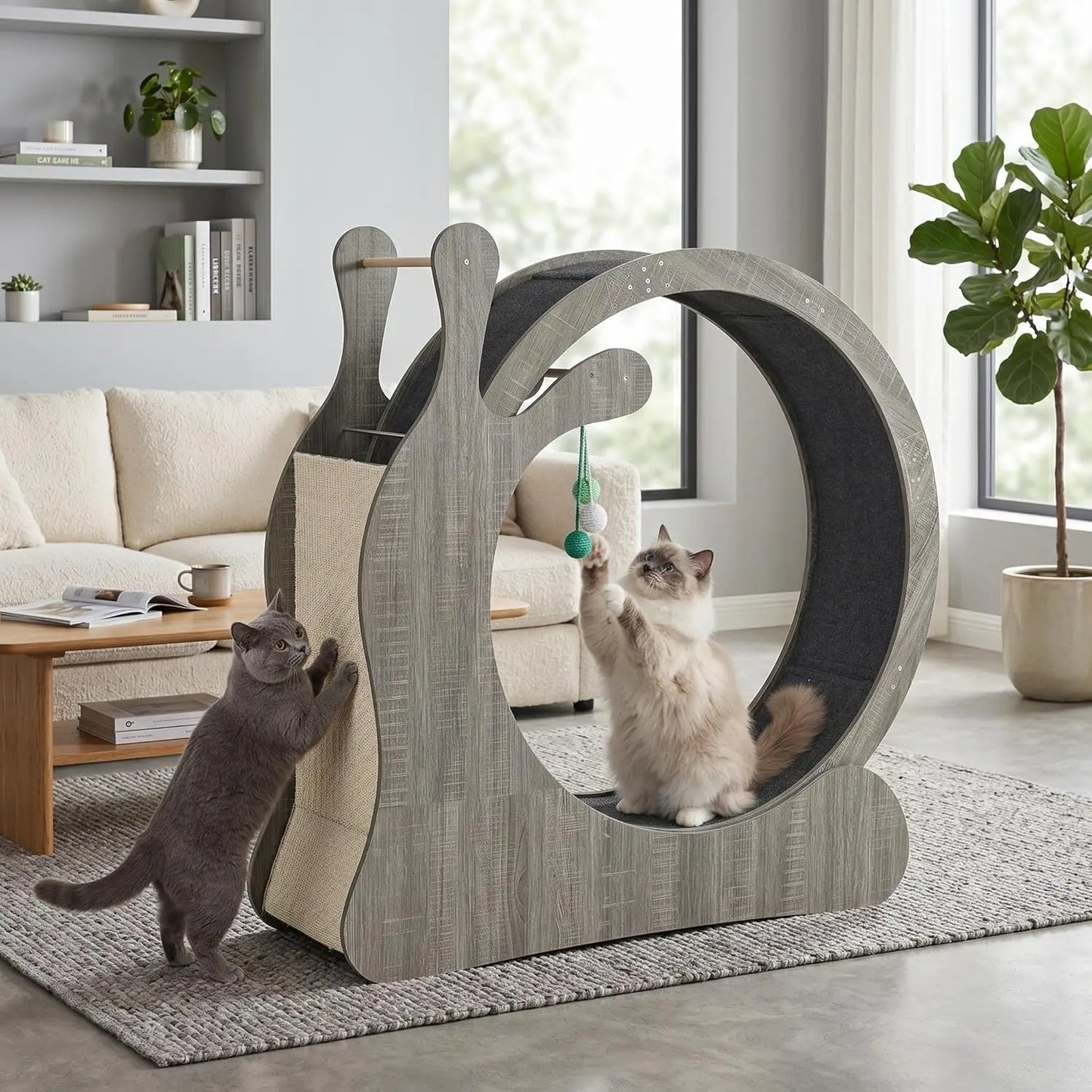 HiMISS Cat Exercise Wheel Treadmill For Indoor Fitness