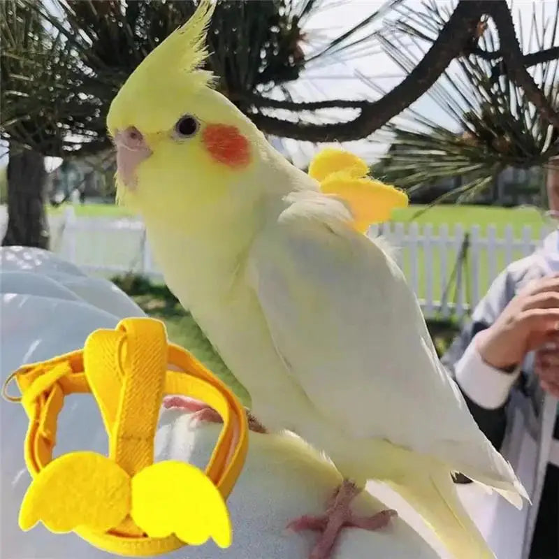 NONECN Parrot Harness and Leash Set Anti Bite Training Birds