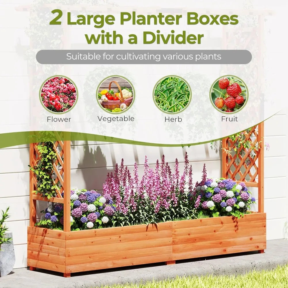 Raised Garden Bed With Trellis And Wooden Planter Box