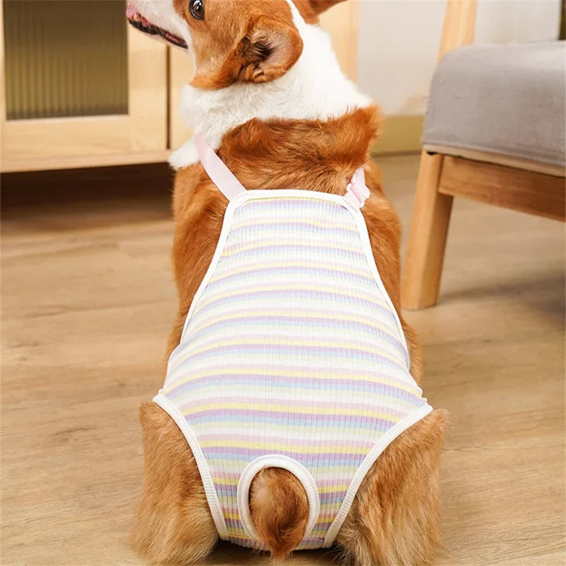Adjustable French Bulldog Pet Shoulder Strap Physiological Pants Dog Underwear
