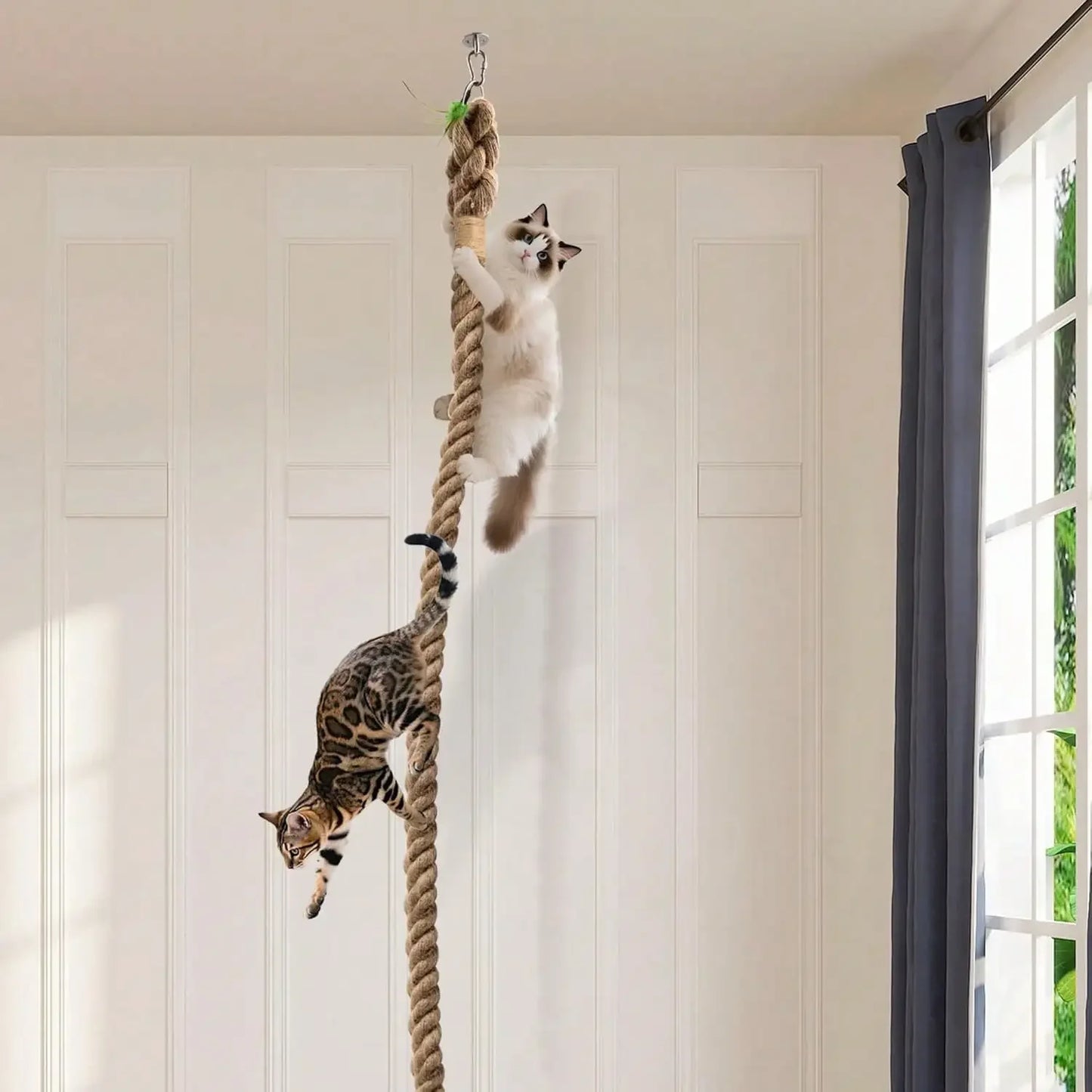 Indoor Cat Climbing Rope Ceiling Attachment Cat Tree Tower