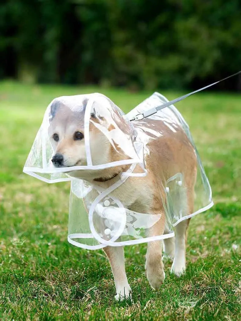 Transparent Dog Raincoat With Hat Waterproof Pet Raincoat