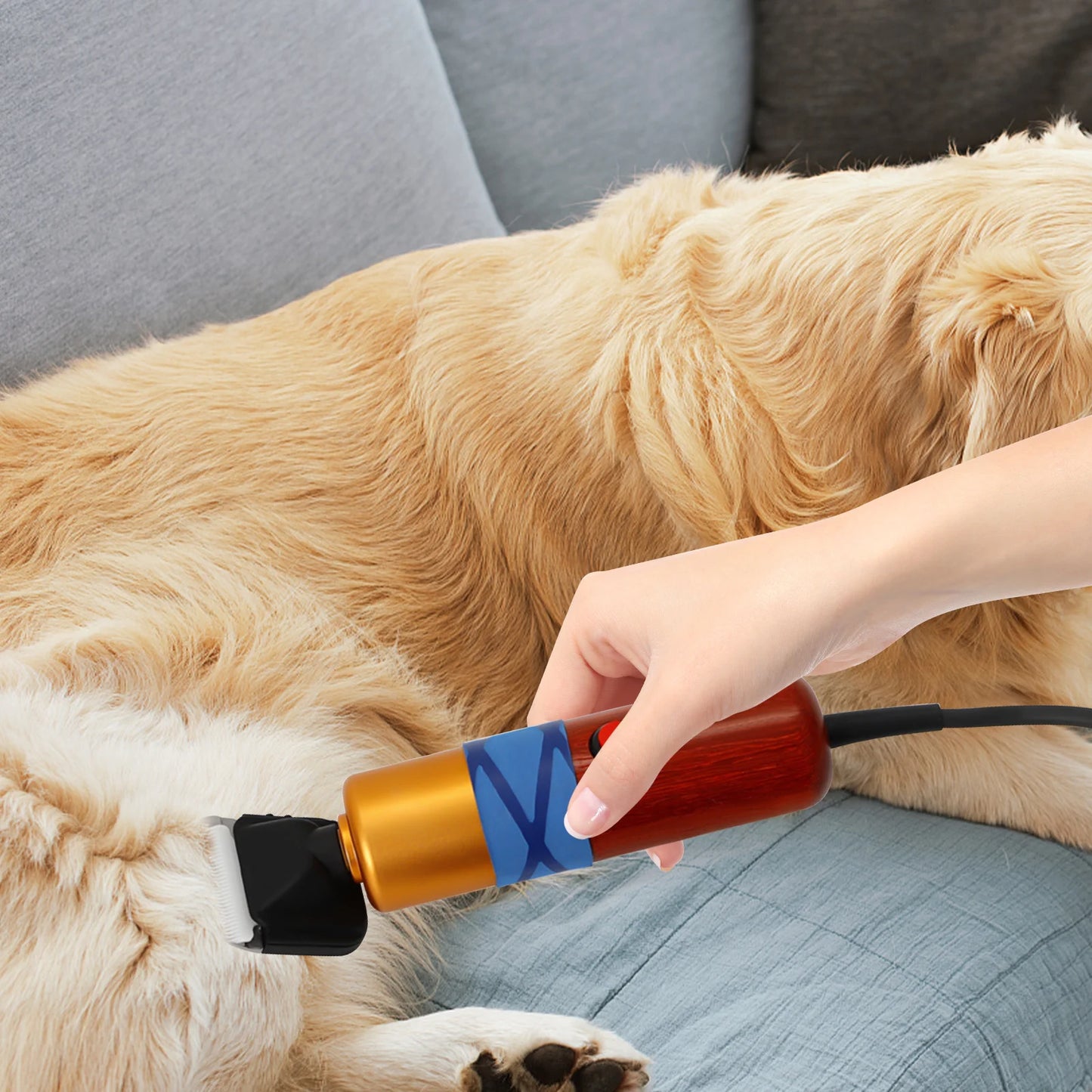 Professional Electric Pet Hair Clipper Low Noise With Variable Speed
