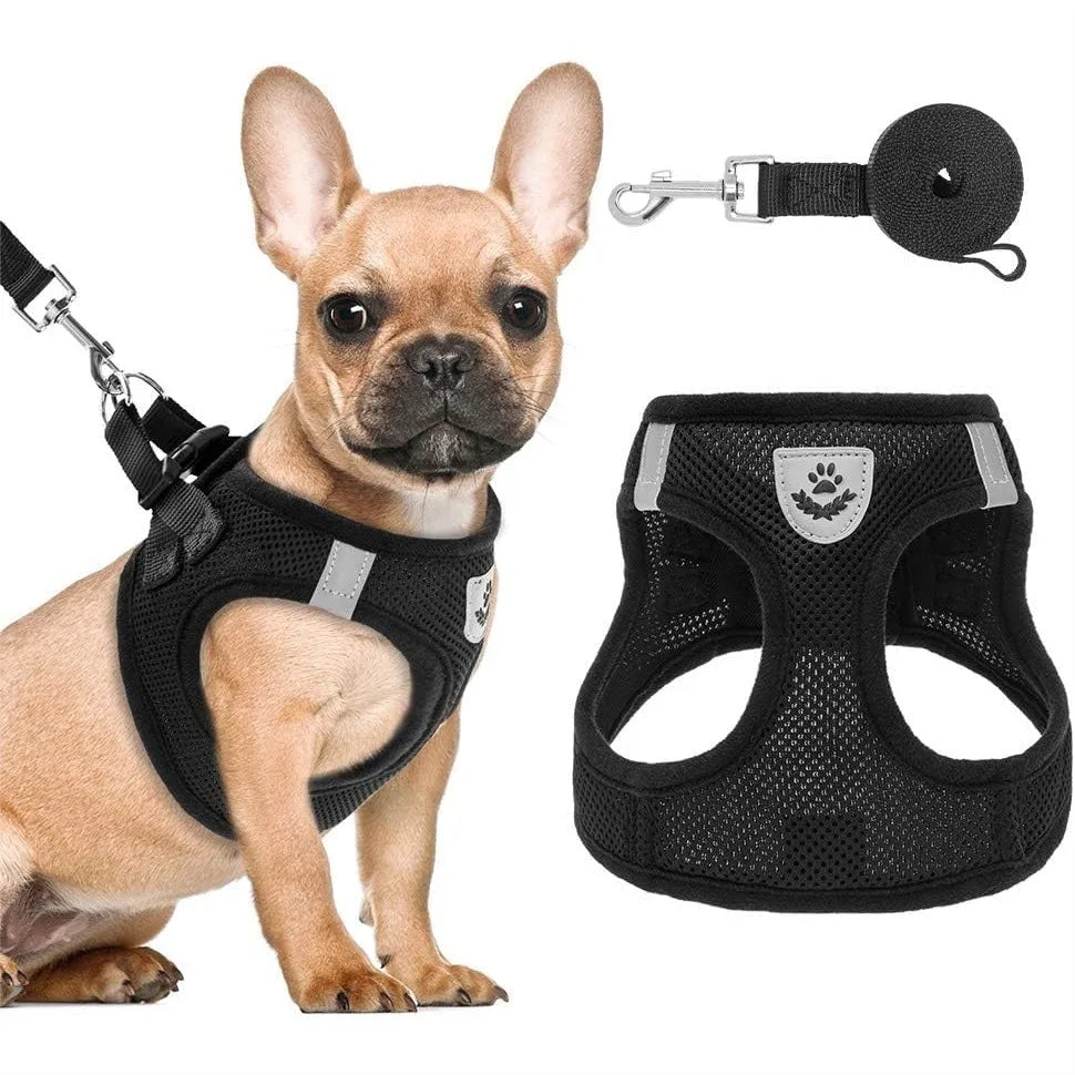 Soft Mesh Dog Harness And Leash Set For Small Dogs Reflective Vest With Handle