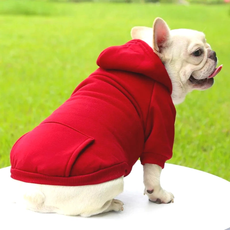 Winter Hooded Sweatshirt for Dogs and Cats