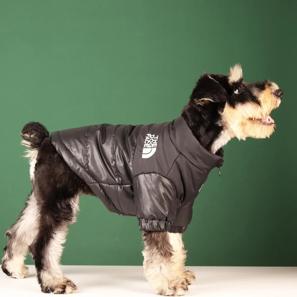 WANGUPETCN Winter Windproof Reflective Dog Coat Jacket