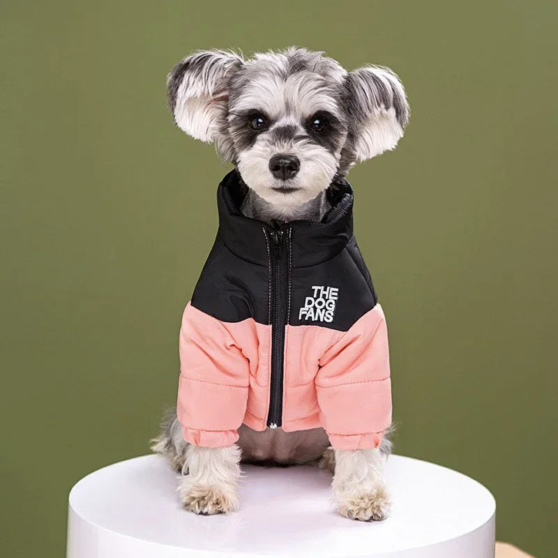 Trendy Embroidered Dog Coat For Autumn And Winter Wear