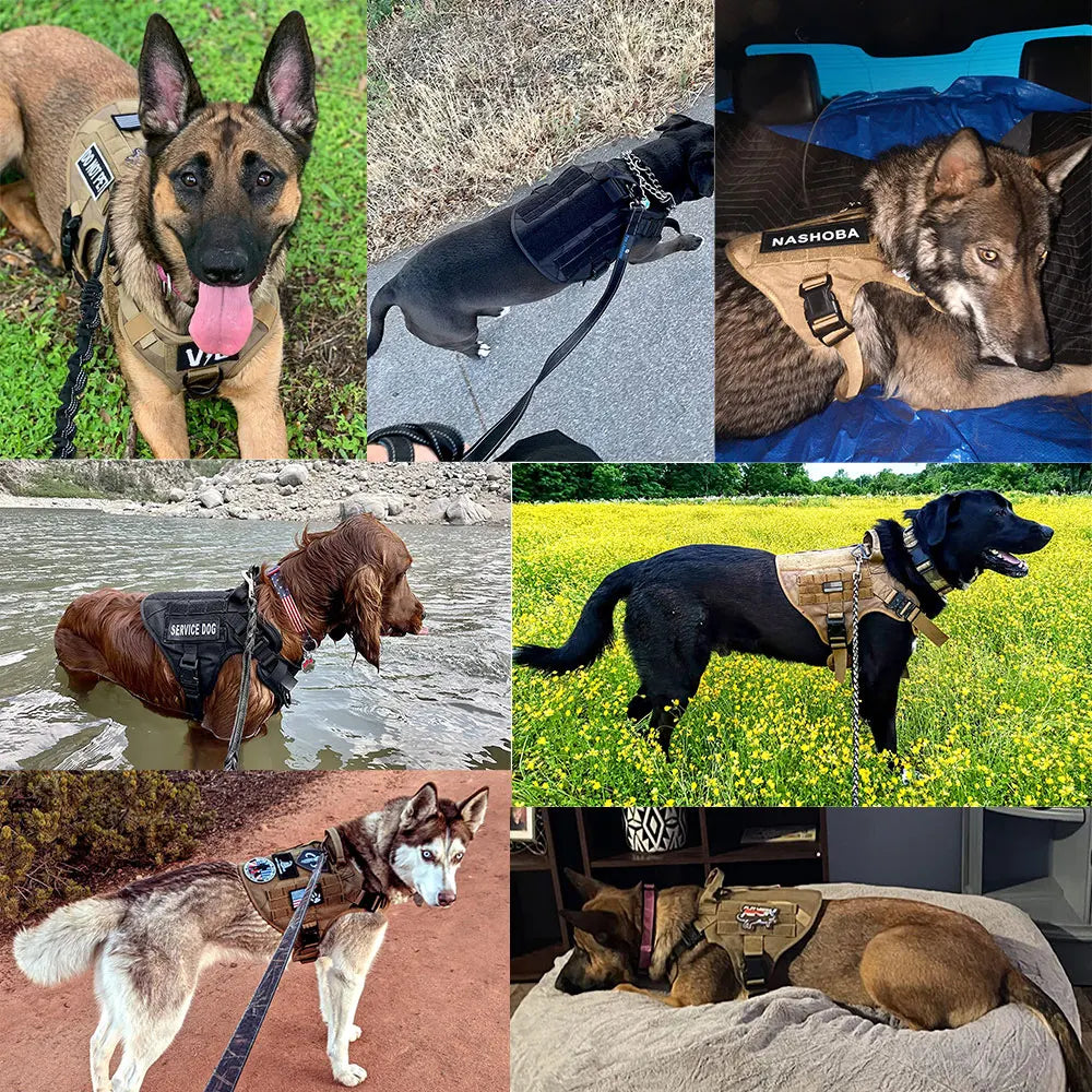 PETRAVELCN Tactical Dog Harness Vest For Large Dogs No Pull