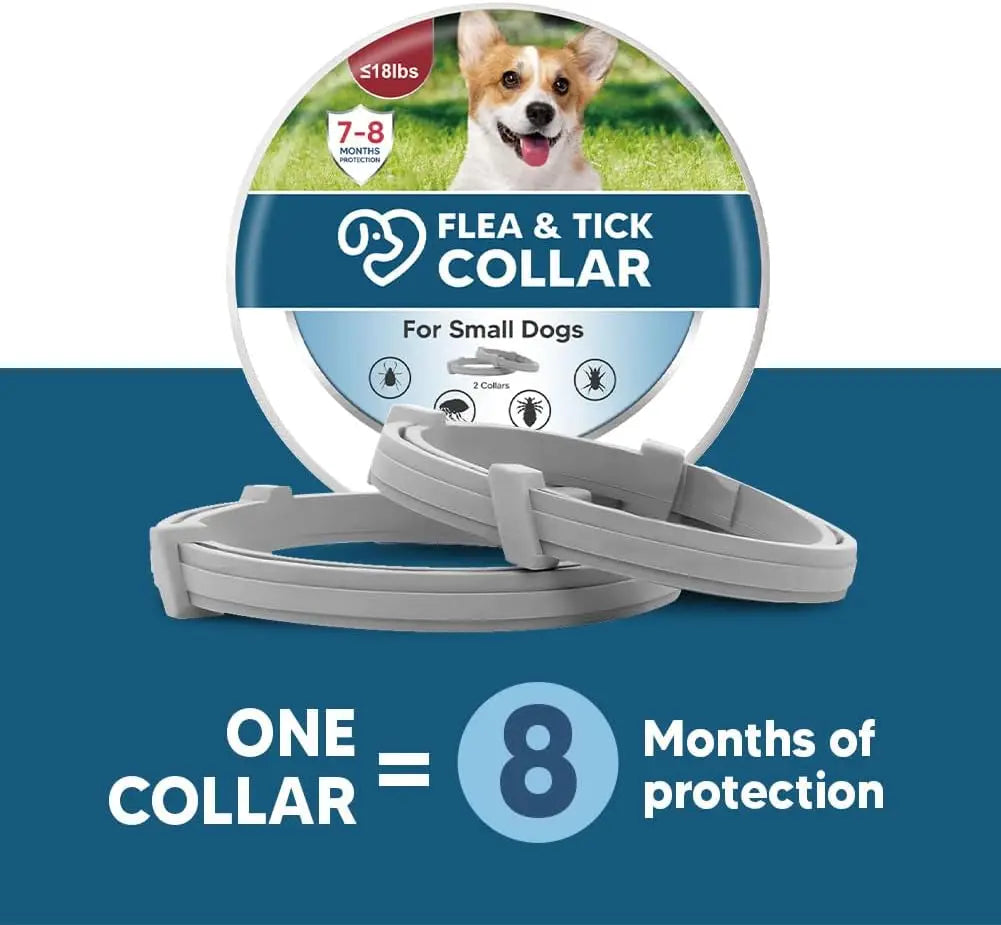 Effective Flea Tick Collar for Small Dogs Lasts 8 Months