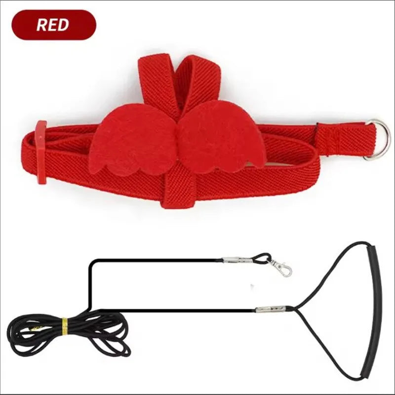 NONECN Parrot Harness and Leash Set Anti Bite Training Birds